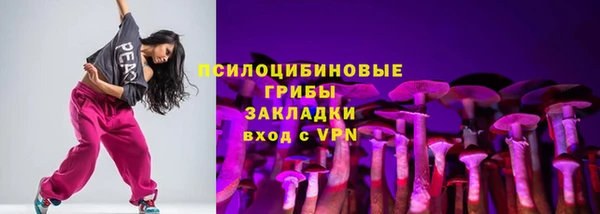 не бодяженный Арсеньев